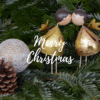 Buon Natale per Coppia - Gold